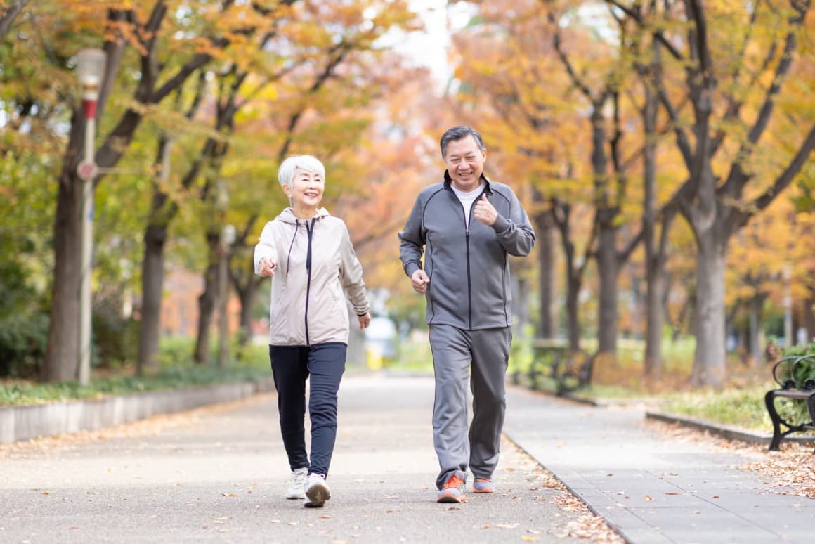 ハイキングの様子