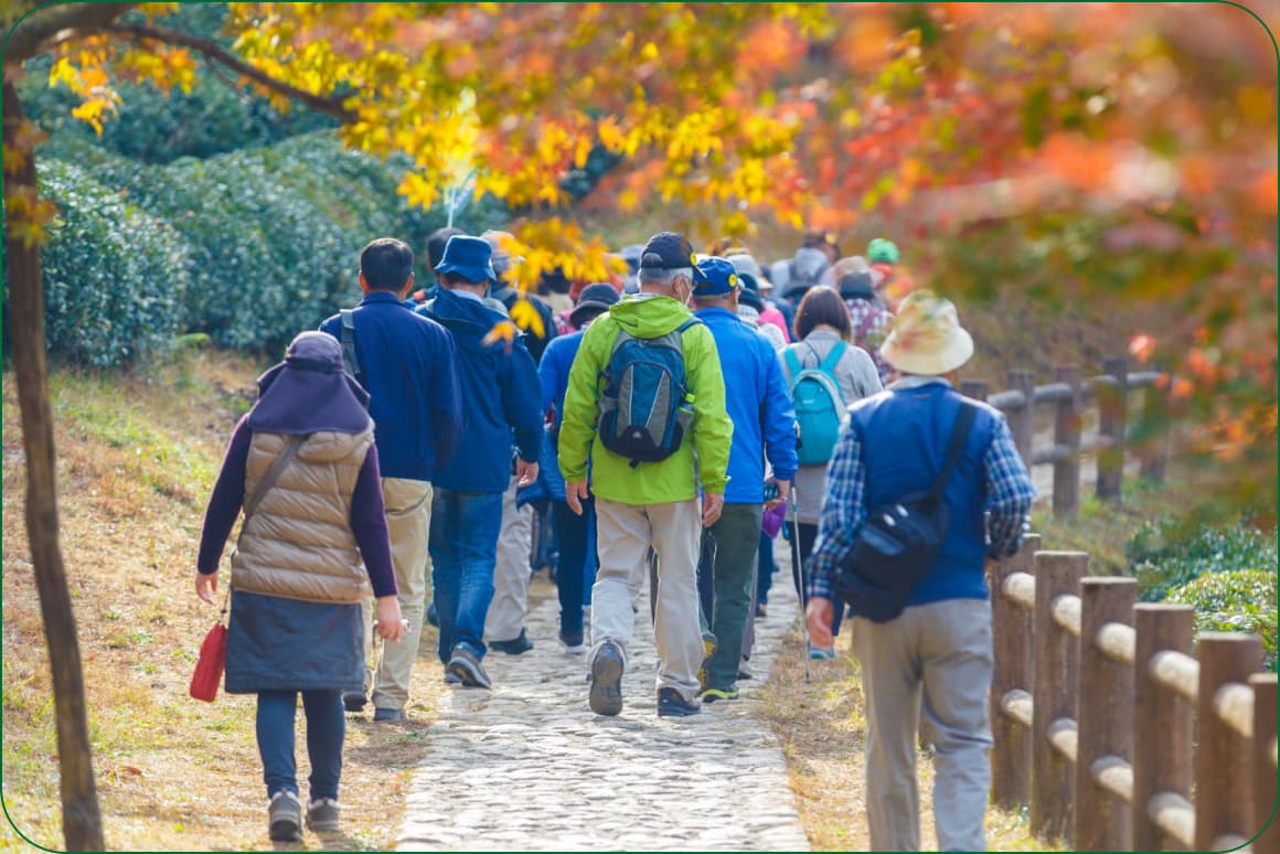 複数人でのハイキングの様子